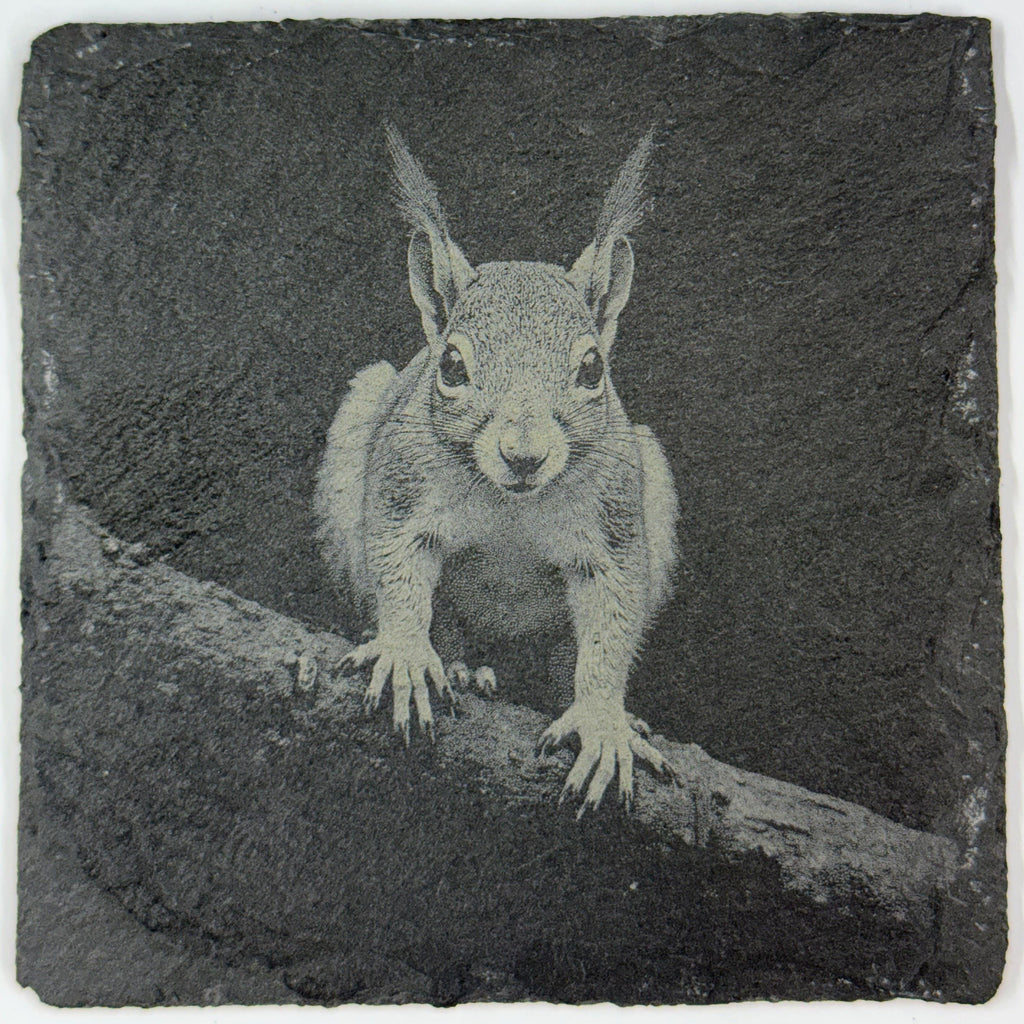 Squirrel Forest Wildlife, Rustic Cabin Decor, Set of 4 Laser Engraved Slate Coasters