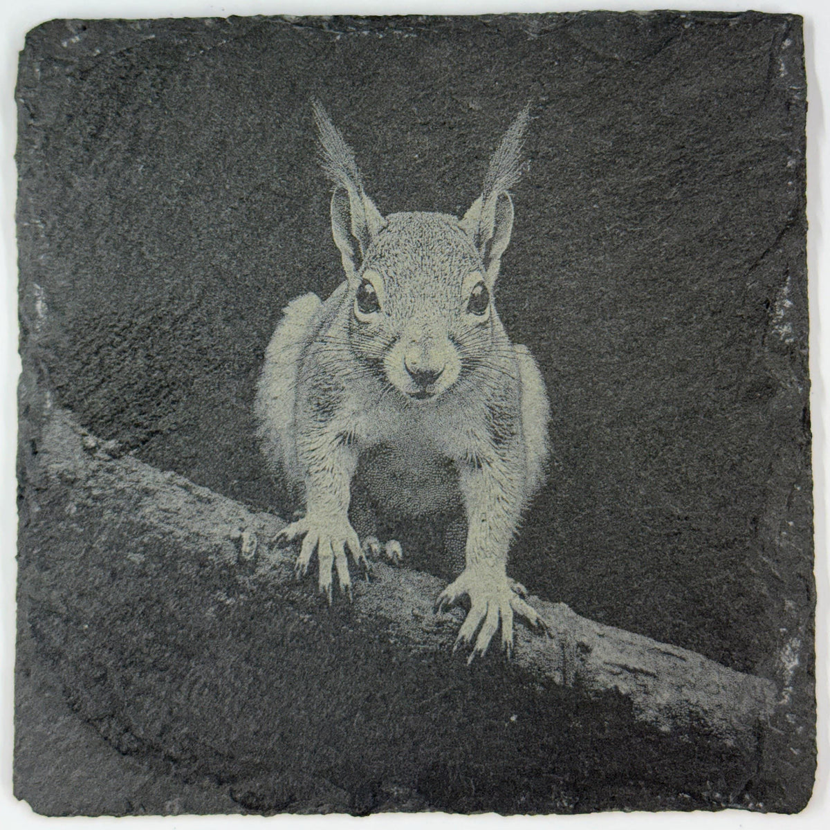 Squirrel Forest Wildlife, Rustic Cabin Decor, Set of 4 Laser Engraved Slate Coasters