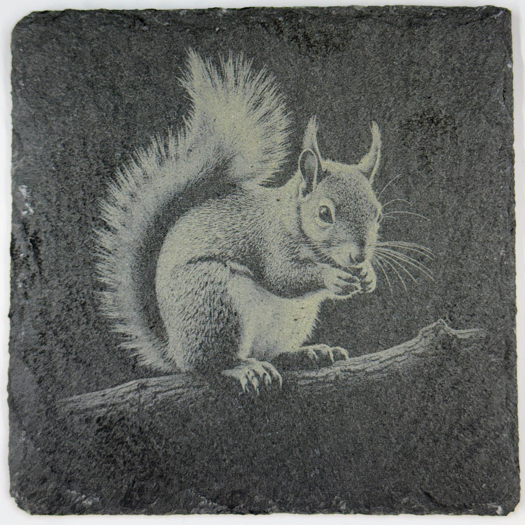 Squirrel Forest Wildlife, Rustic Cabin Decor, Set of 4 Laser Engraved Slate Coasters
