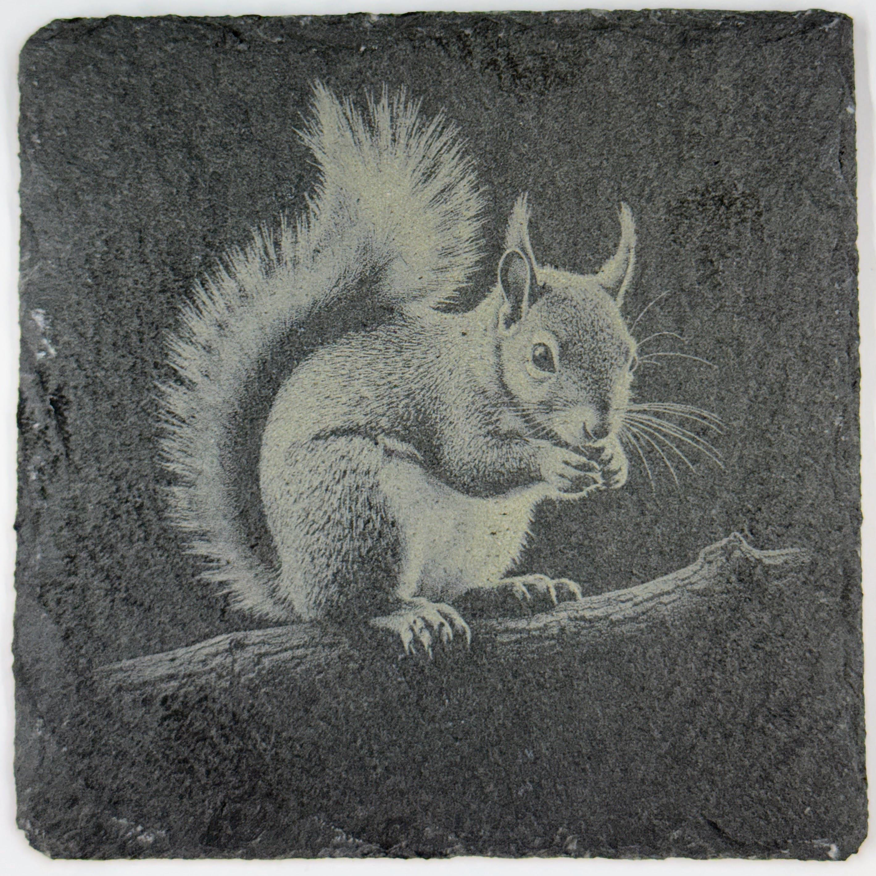 Squirrel Forest Wildlife, Rustic Cabin Decor, Set of 4 Laser Engraved Slate Coasters