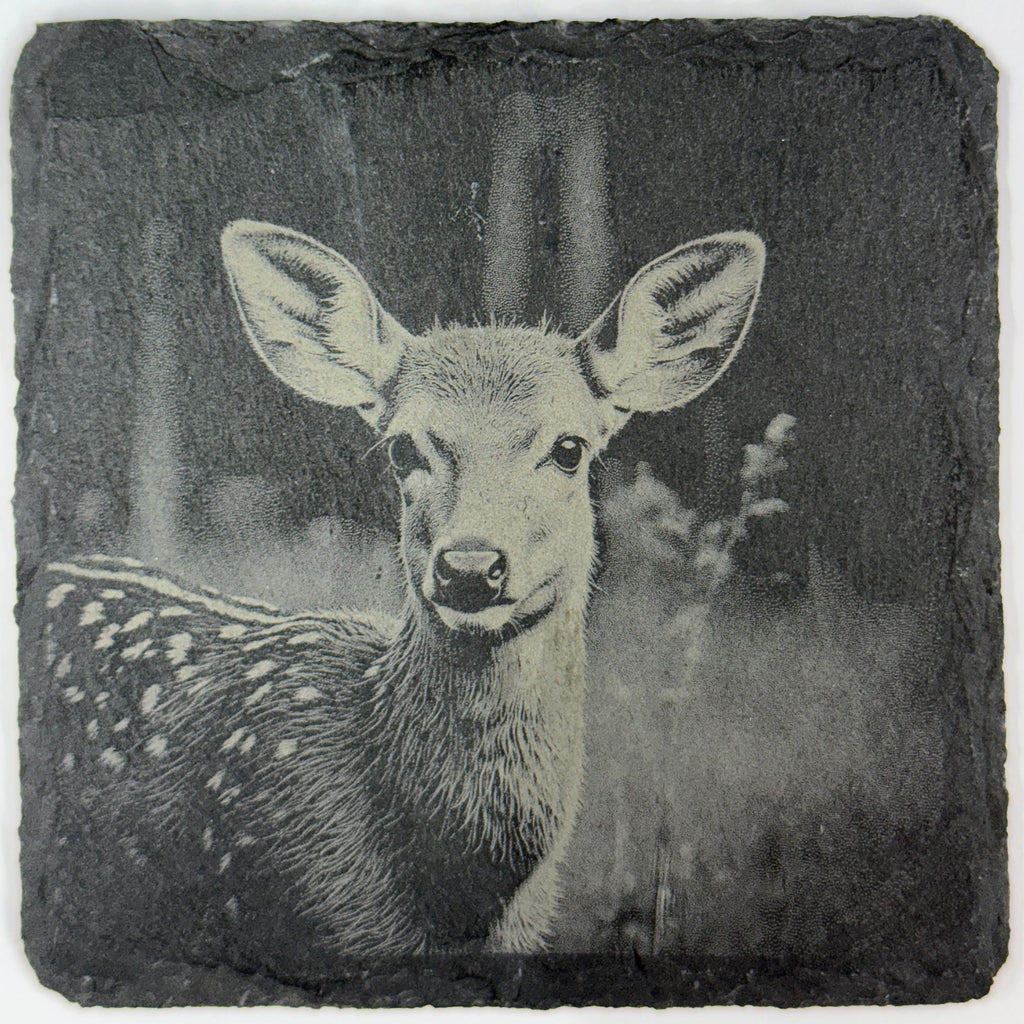Fawn Baby Deer, Woodland Wildlife Gift, Set of 4 Laser Engraved Slate Coasters