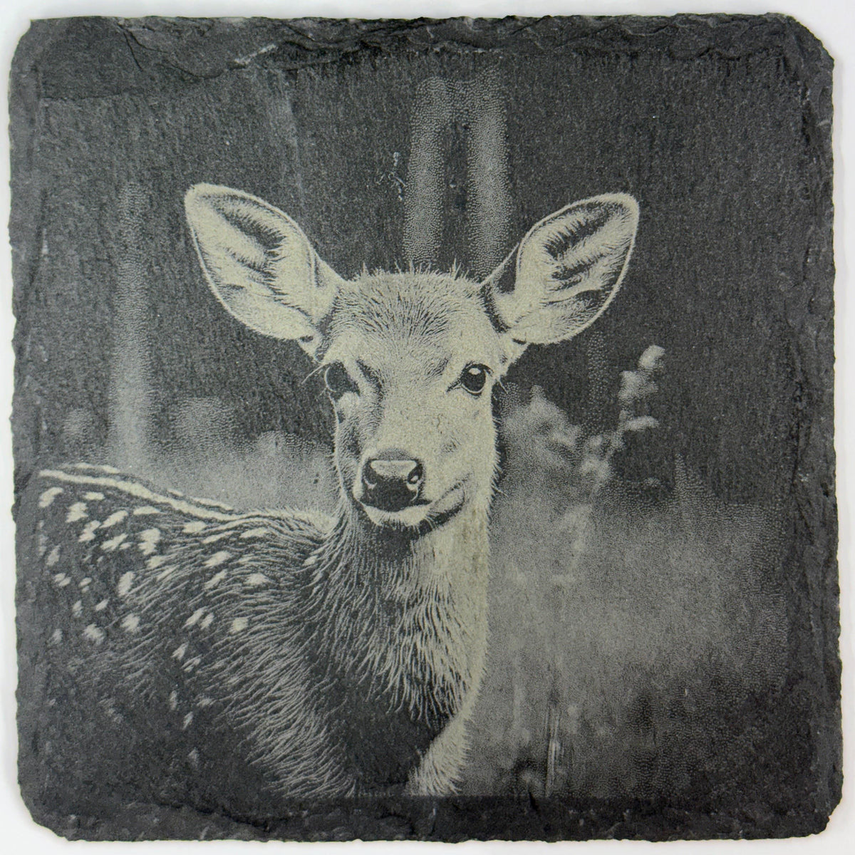 Fawn Baby Deer, Woodland Wildlife Gift, Set of 4 Laser Engraved Slate Coasters