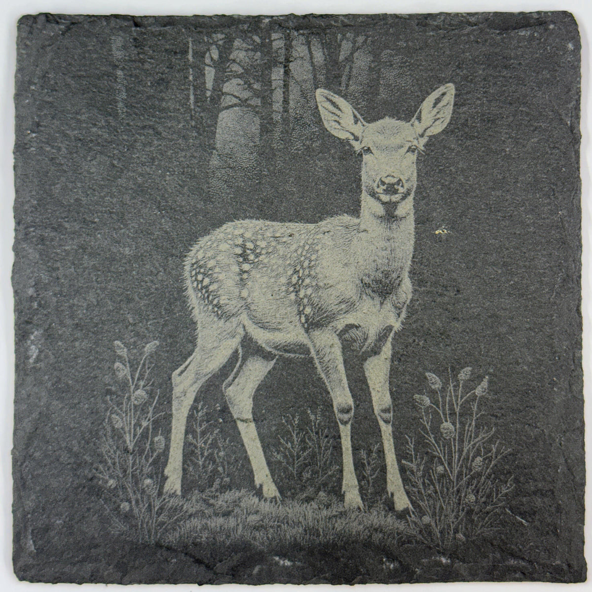 Fawn Baby Deer, Woodland Wildlife Gift, Set of 4 Laser Engraved Slate Coasters