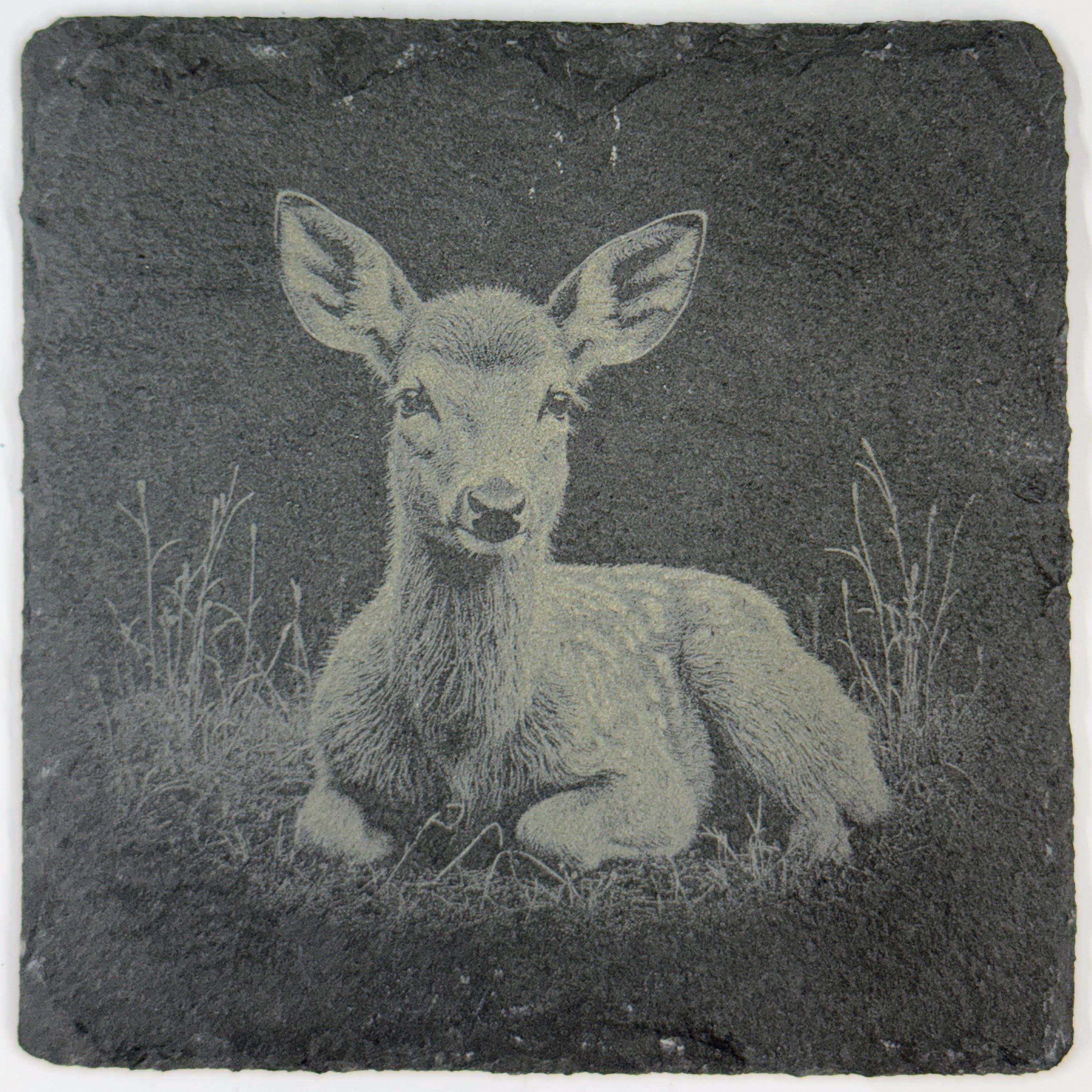 Fawn Baby Deer, Woodland Wildlife Gift, Set of 4 Laser Engraved Slate Coasters