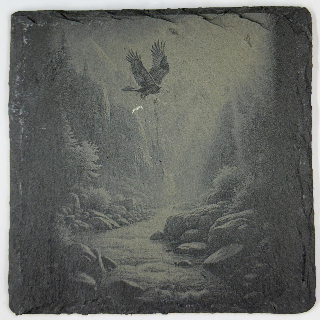 Bald Eagle Wildlife and Nature Set of 4 Laser Engraved Slate Drink Coasters