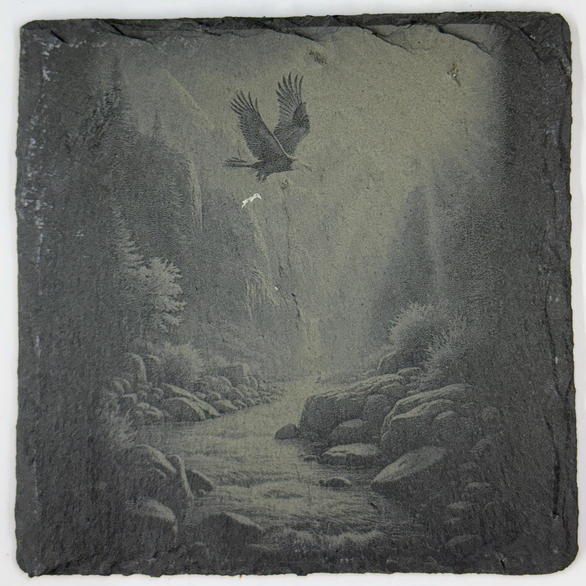 Bald Eagle Wildlife and Nature Set of 4 Laser Engraved Slate Drink Coasters