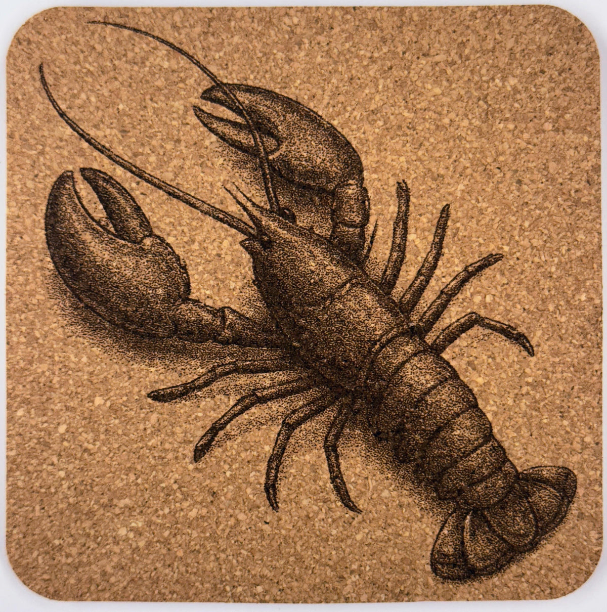Sea Creature Cork Coasters: Nautical Beach House Decor Gift Set
