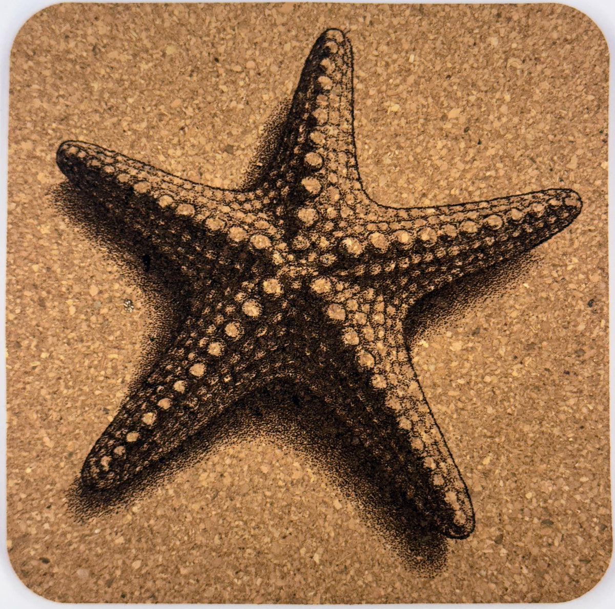 Seashell Cork Coasters: Nautical Beach House Decor - Set of 4
