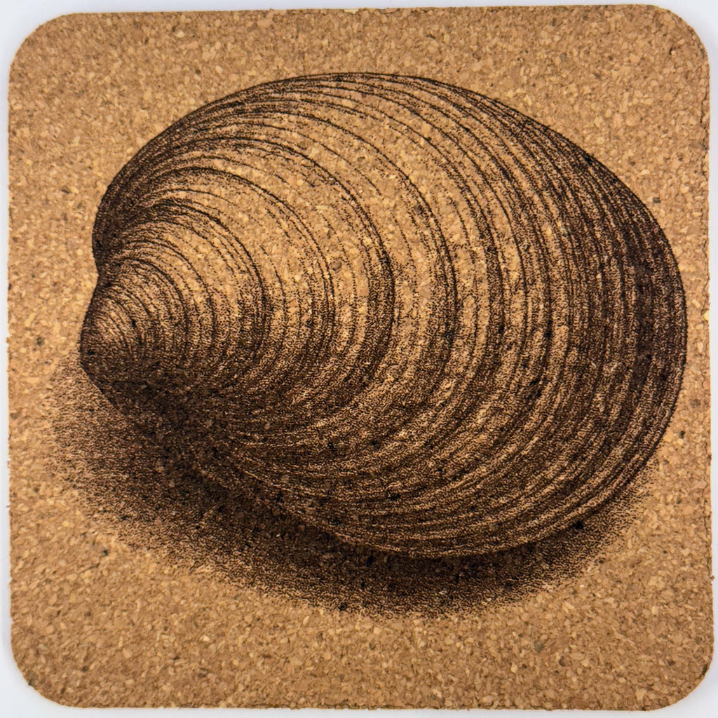 Seashell Cork Coasters: Nautical Beach House Decor - Set of 4