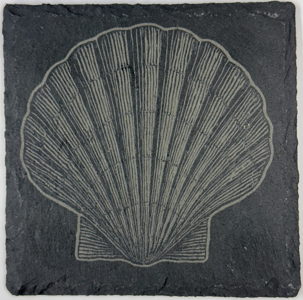 Engraved Slate Seashell Coasters: Nautical Ocean Theme Drinkware