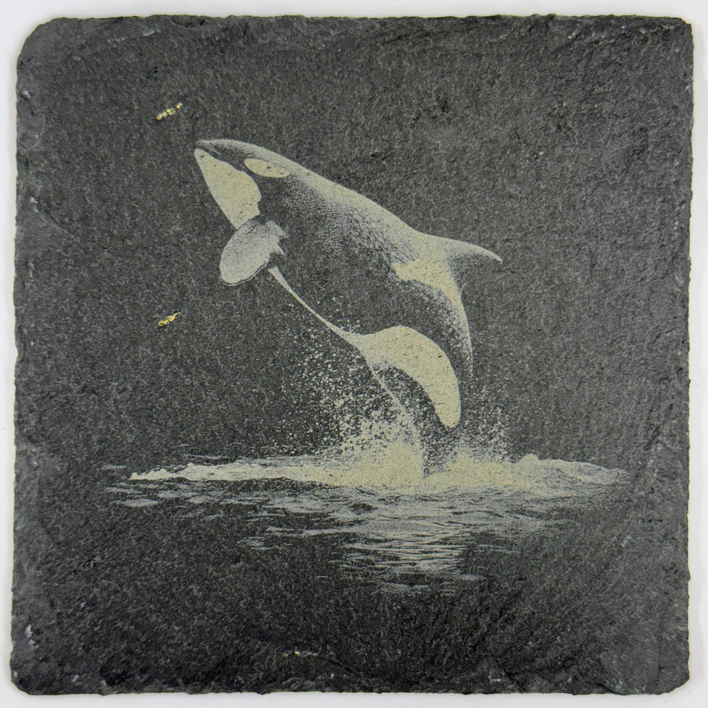 Orca Whale, Ocean Wildlife, Set of 4 Laser Engraved Slate Coasters