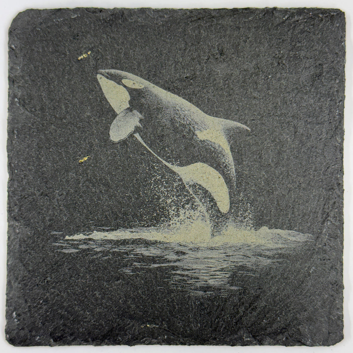 Orca Whale, Ocean Wildlife, Set of 4 Laser Engraved Slate Coasters
