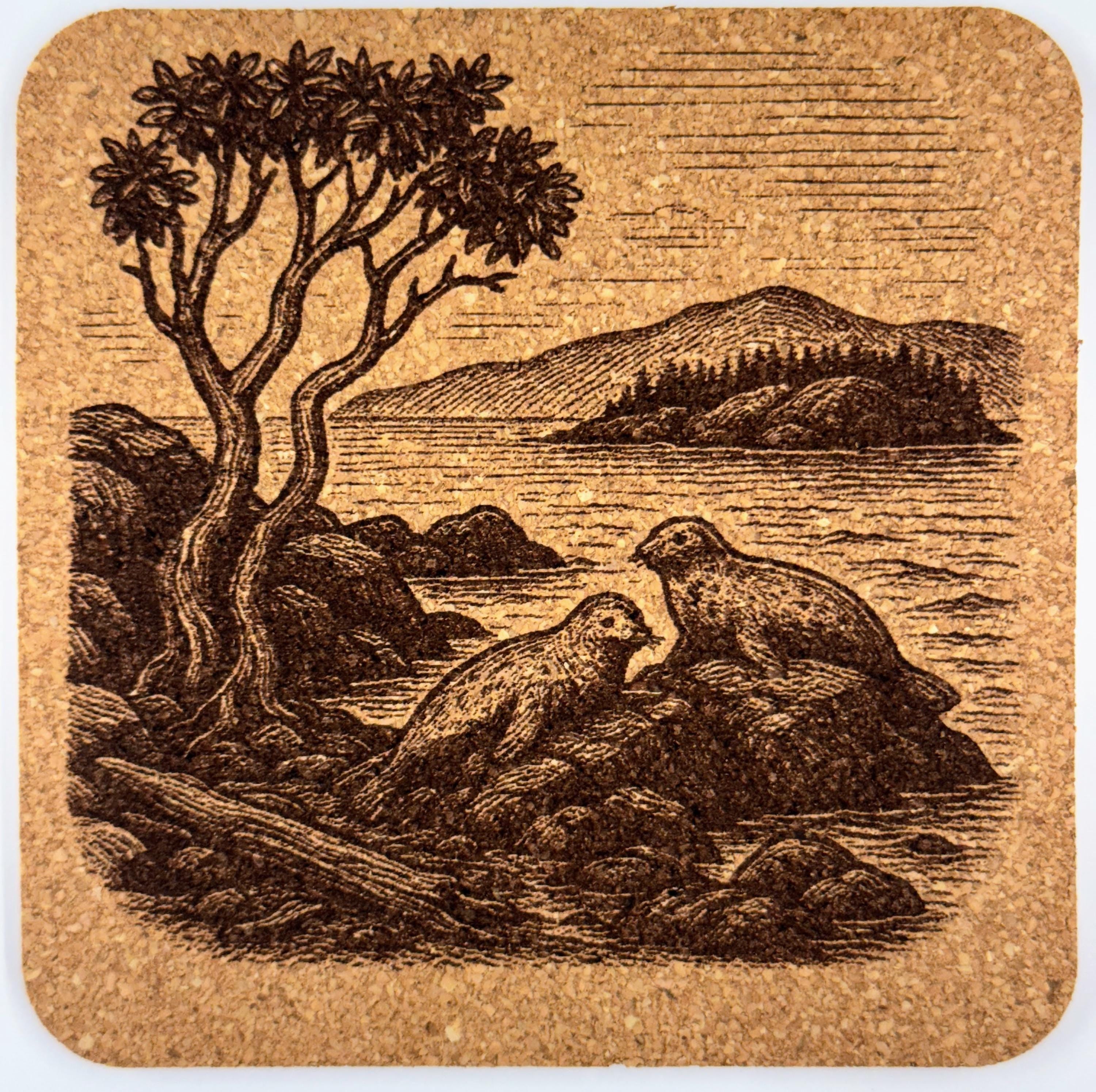 San Juan Islands Cork Coaster Set: Laser Engraved Orcas, Lighthouse, Sailboat