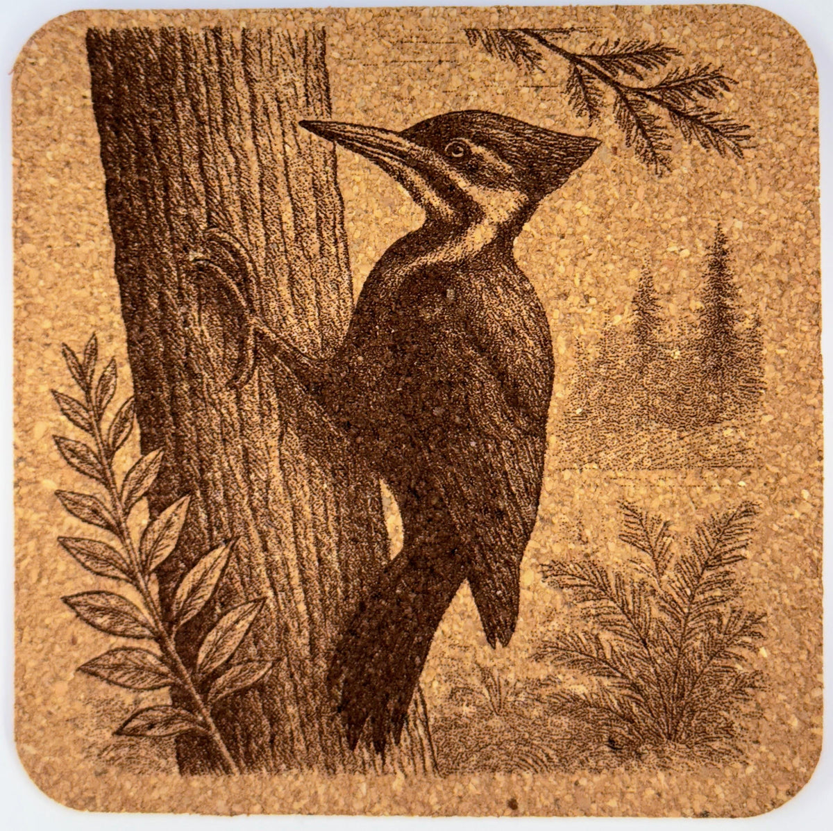 Engraved PNW Birds Cork Coaster Set: Pacific Northwest Wildlife