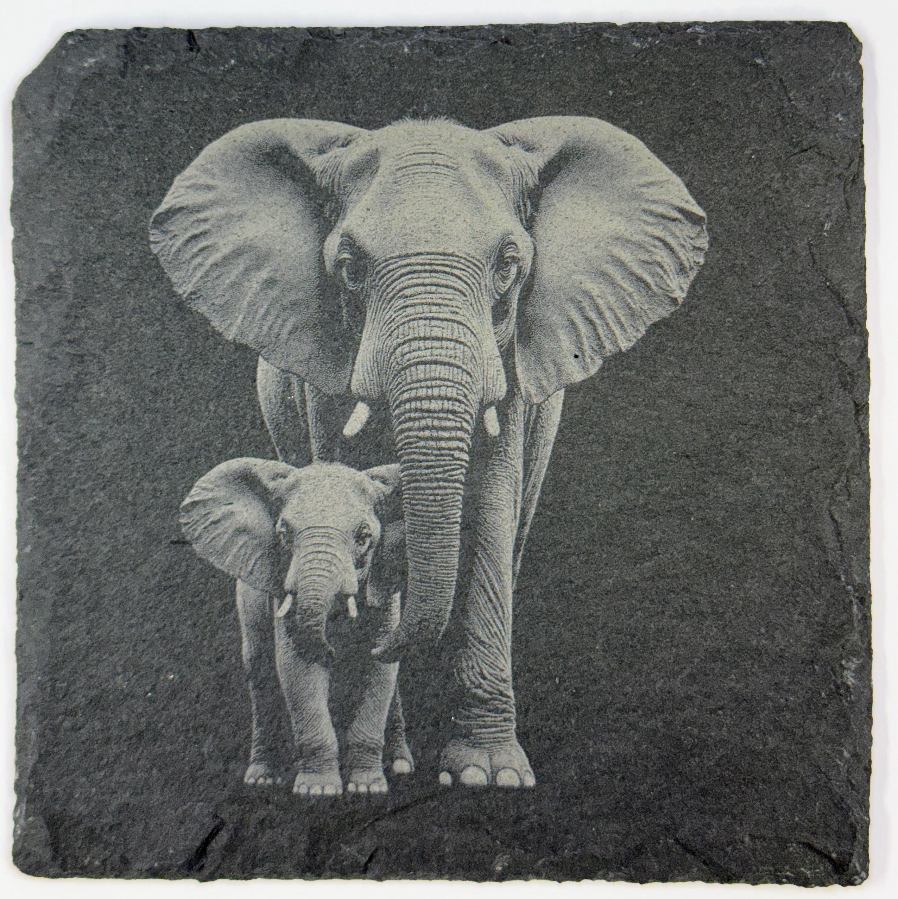 Elephant Slate Coaster Set of 4 – Laser Engraved Wildlife Drink Coasters