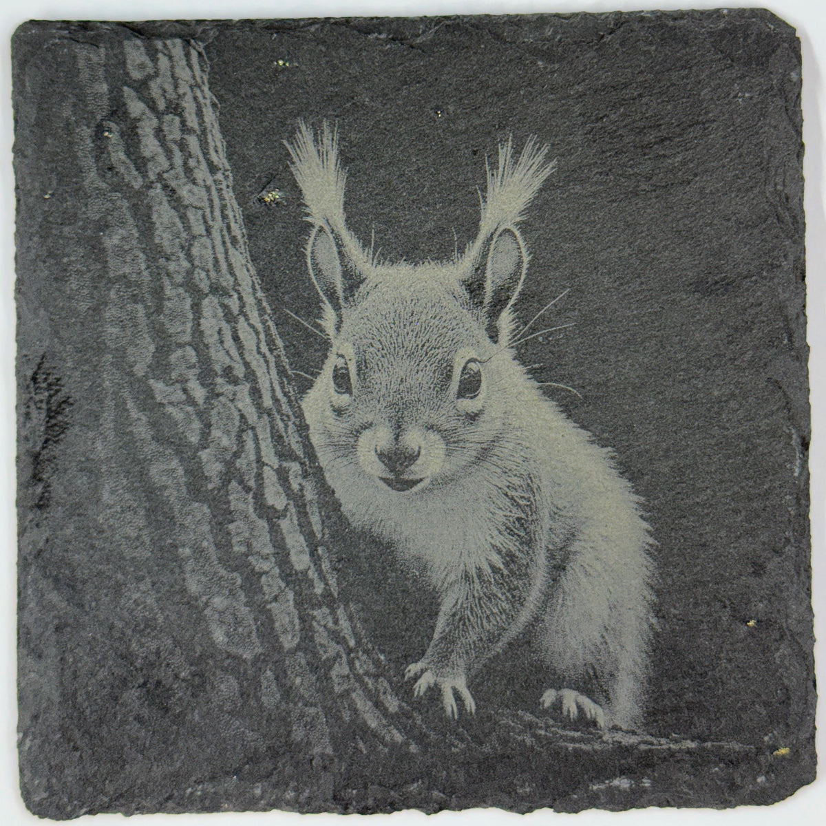 Squirrel Forest Wildlife, Rustic Cabin Decor, Set of 4 Laser Engraved Slate Coasters