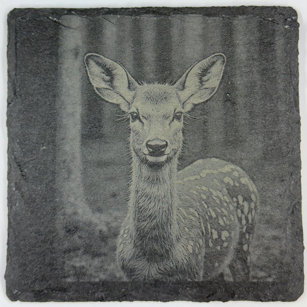 Fawn Baby Deer, Woodland Wildlife Gift, Set of 4 Laser Engraved Slate Coasters