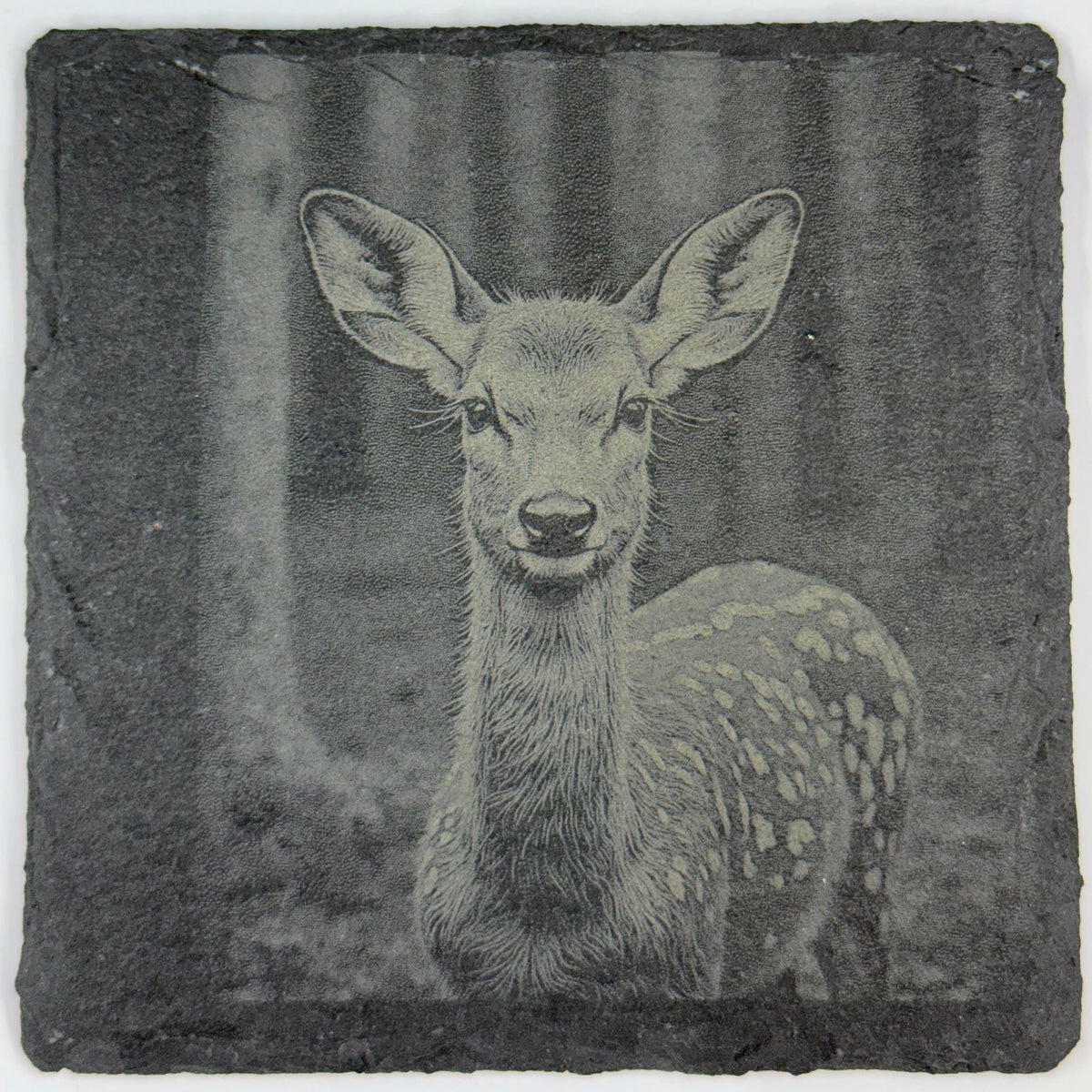 Fawn Baby Deer, Woodland Wildlife Gift, Set of 4 Laser Engraved Slate Coasters