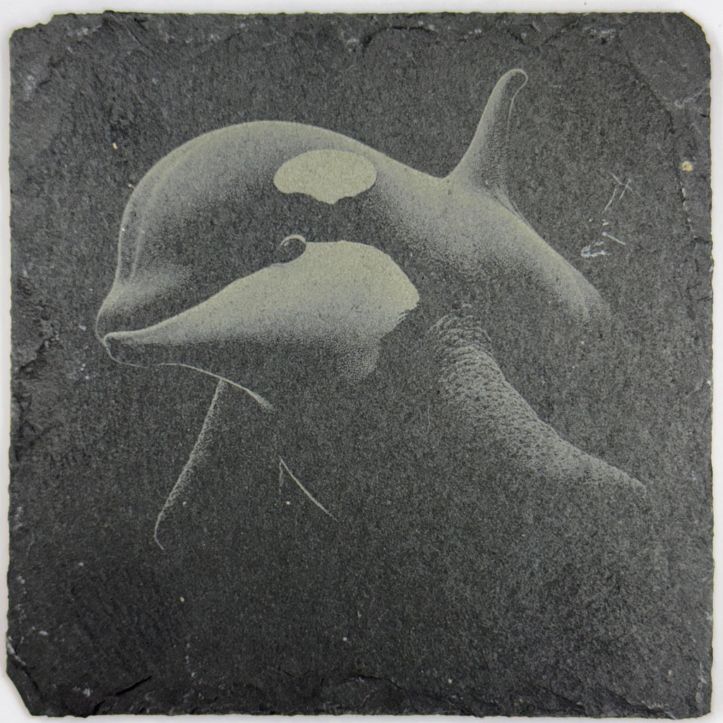 Orca Whale, Ocean Wildlife, Set of 4 Laser Engraved Slate Coasters