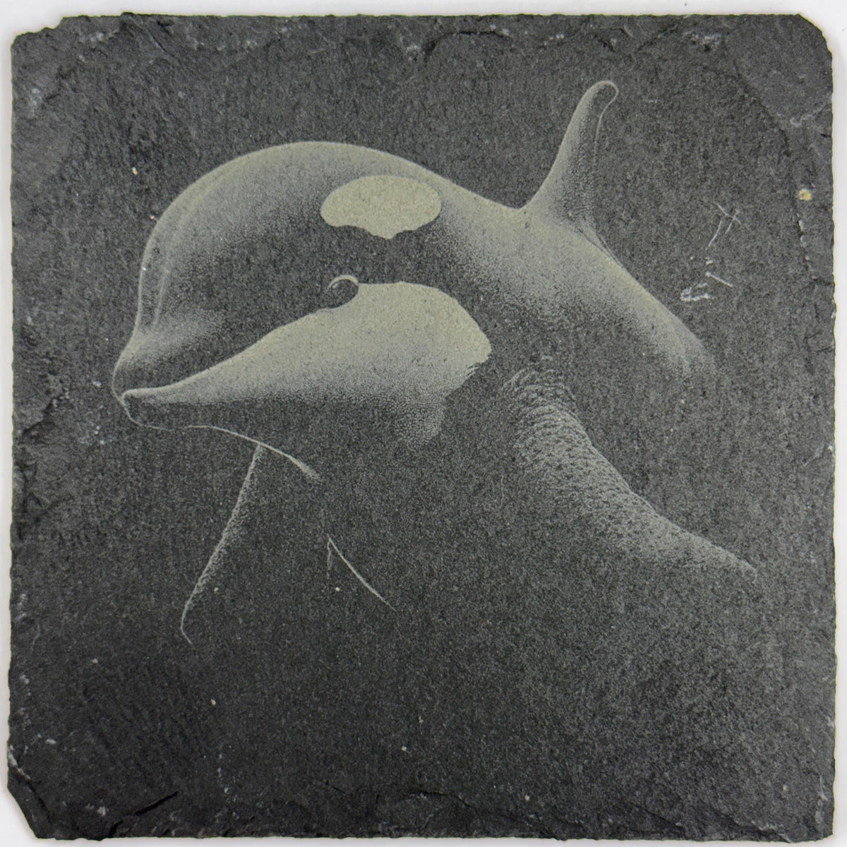 Orca Whale, Ocean Wildlife, Set of 4 Laser Engraved Slate Coasters