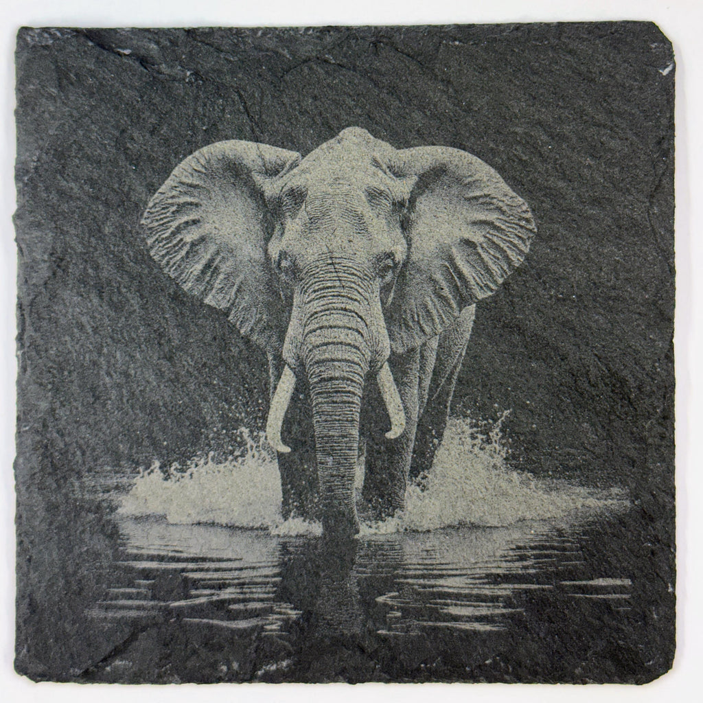 Elephant Slate Coaster Set of 4 – Laser Engraved Wildlife Drink Coasters