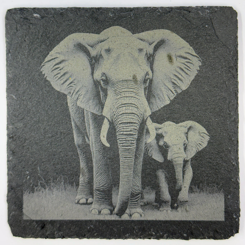 Elephant Slate Coaster Set of 4 – Laser Engraved Wildlife Drink Coasters