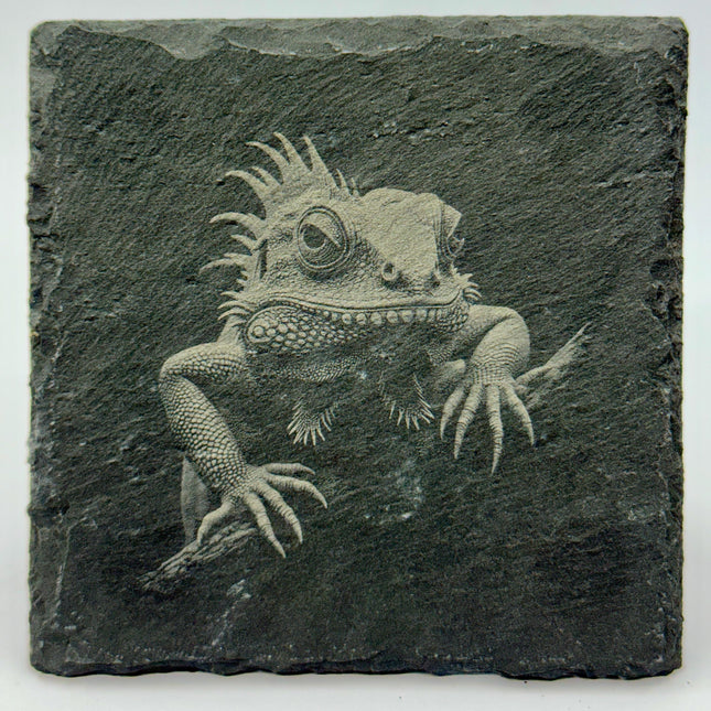 Bearded Dragon Engraved Slate Coasters: Reptile Lover Gift, Set of 4