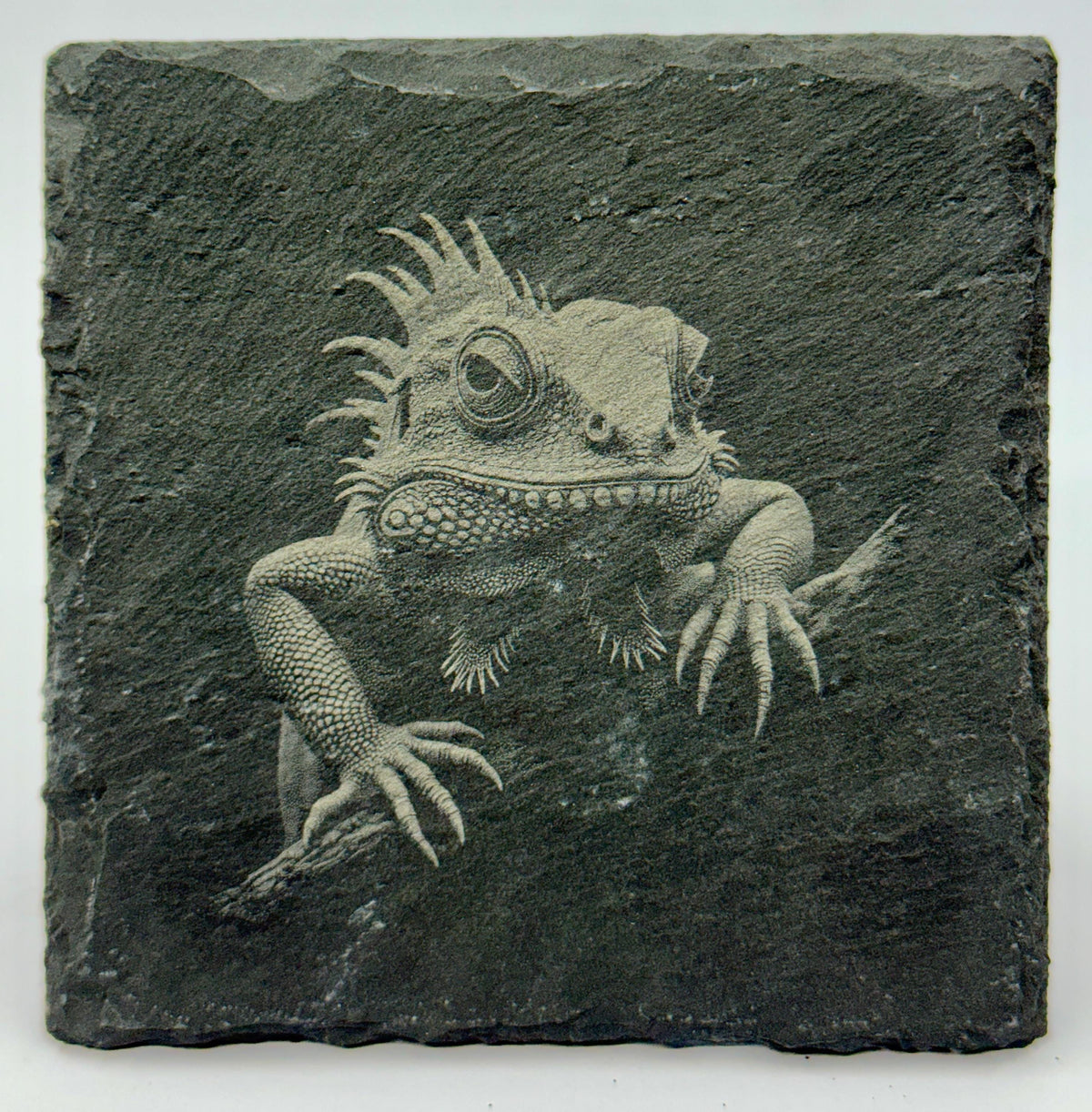 Bearded Dragon Engraved Slate Coasters: Reptile Lover Gift, Set of 4