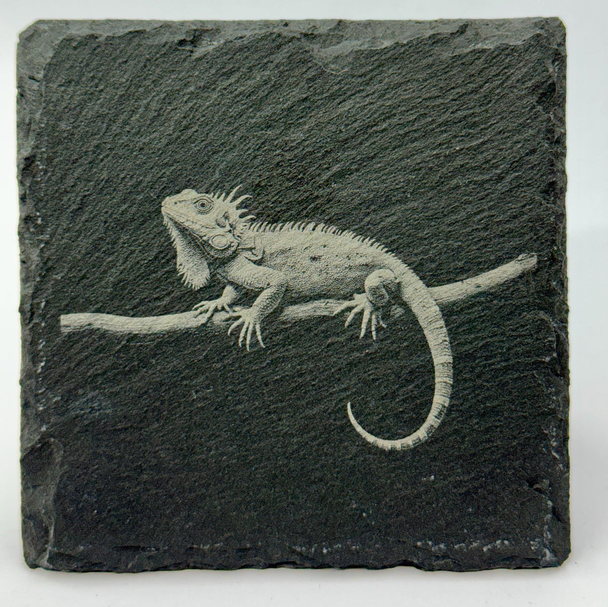 Bearded Dragon Engraved Slate Coasters: Reptile Lover Gift, Set of 4