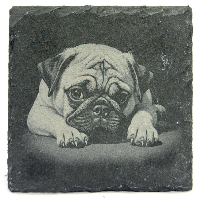 Pug Slate Coasters - Set of 4 Laser Engraved