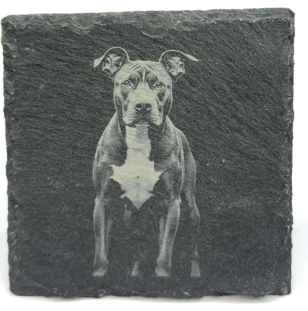 Pit Bull Laser Engraved Slate Coaster Set of 4