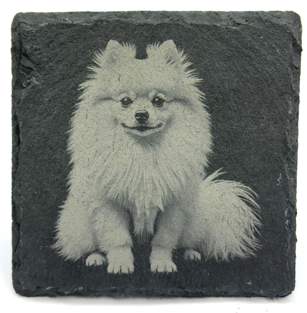 Pomeranian Laser Engraved Slate Coaster Set of 4