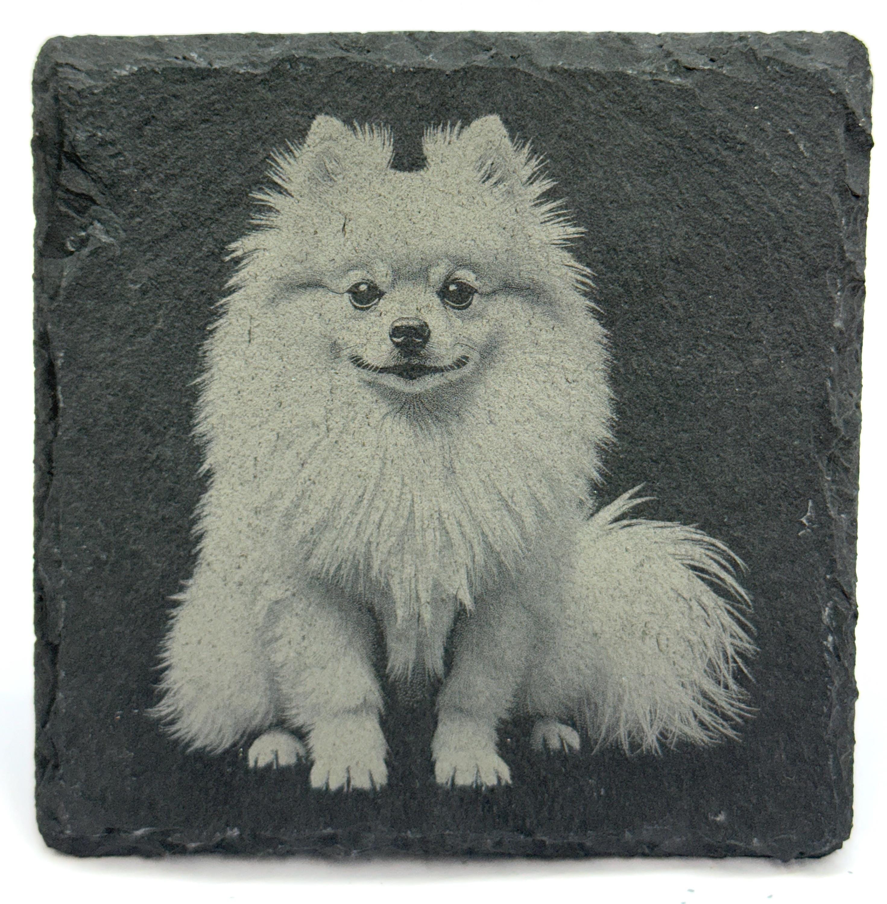 Pomeranian Laser Engraved Slate Coaster Set of 4