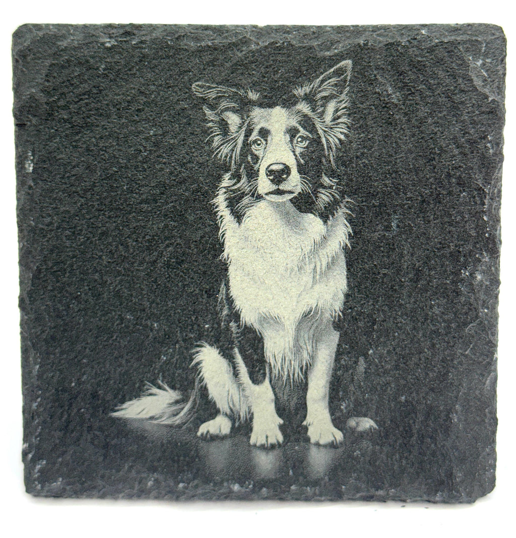 Border Collie Laser Engraved Slate Coaster Set of 4