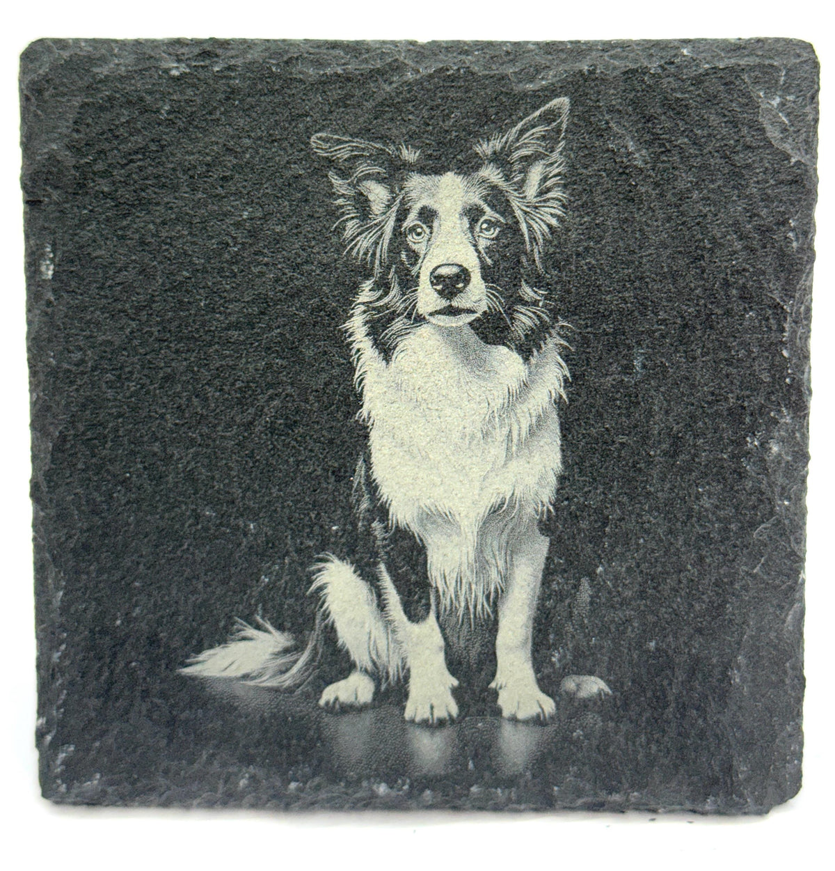 Border Collie Laser Engraved Slate Coaster Set of 4