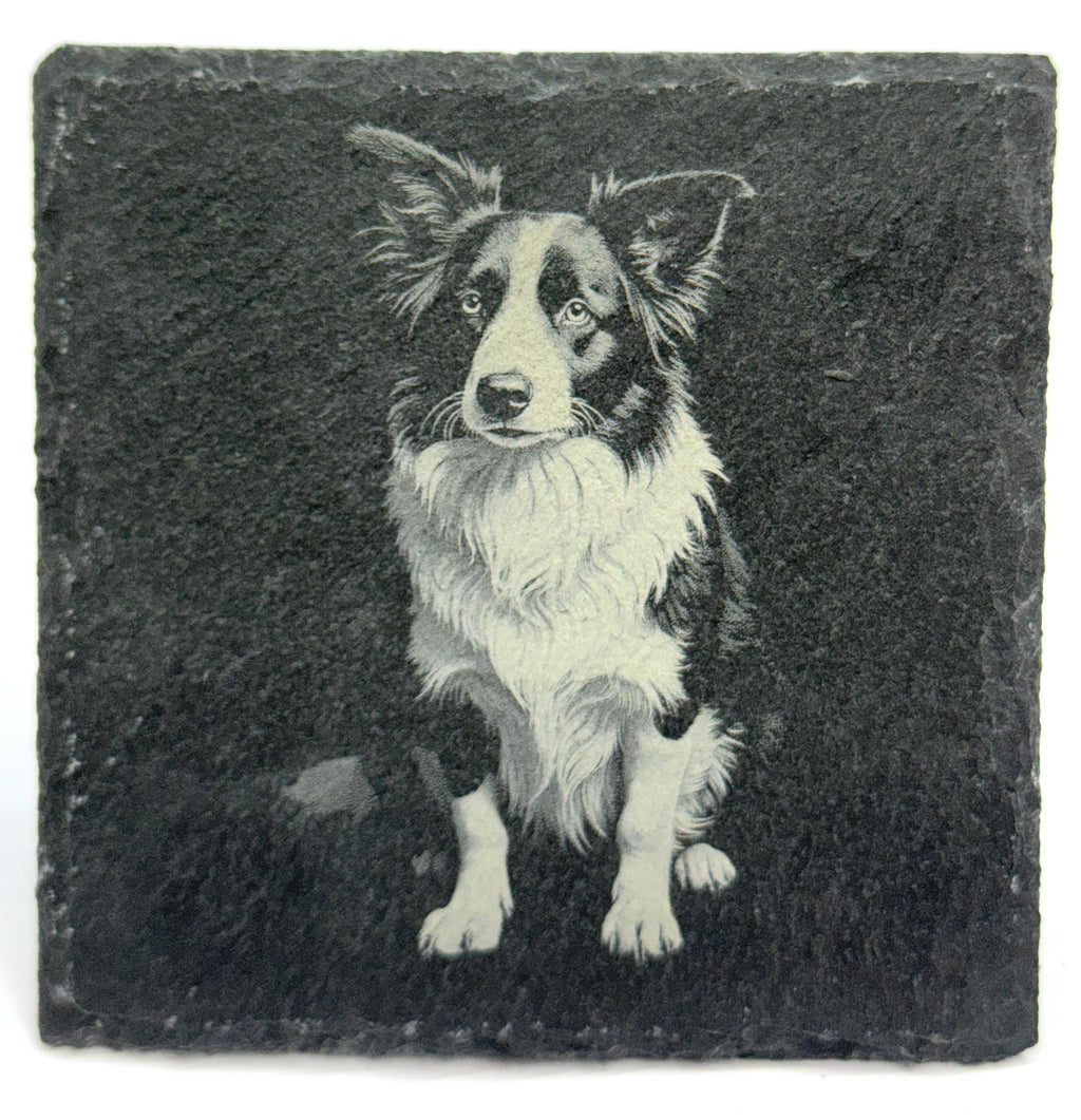 Border Collie Laser Engraved Slate Coaster Set of 4