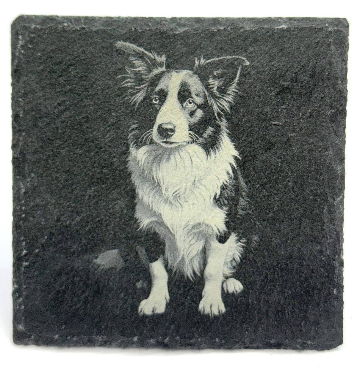 Border Collie Laser Engraved Slate Coaster Set of 4