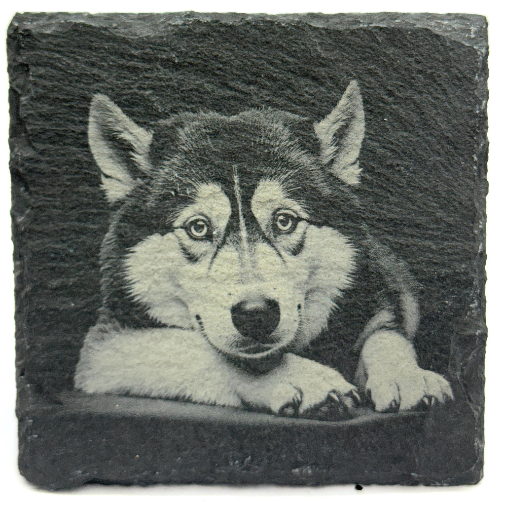 Husky Laser Engraved Slate Coaster Set of 4