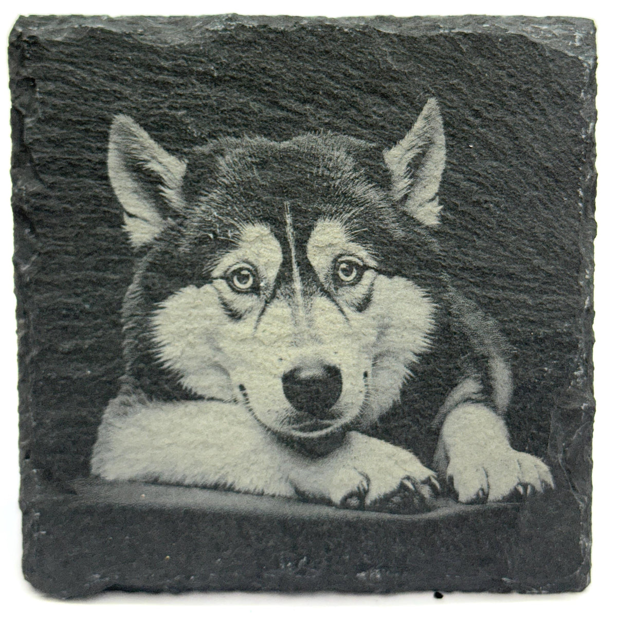 Husky Laser Engraved Slate Coaster Set of 4