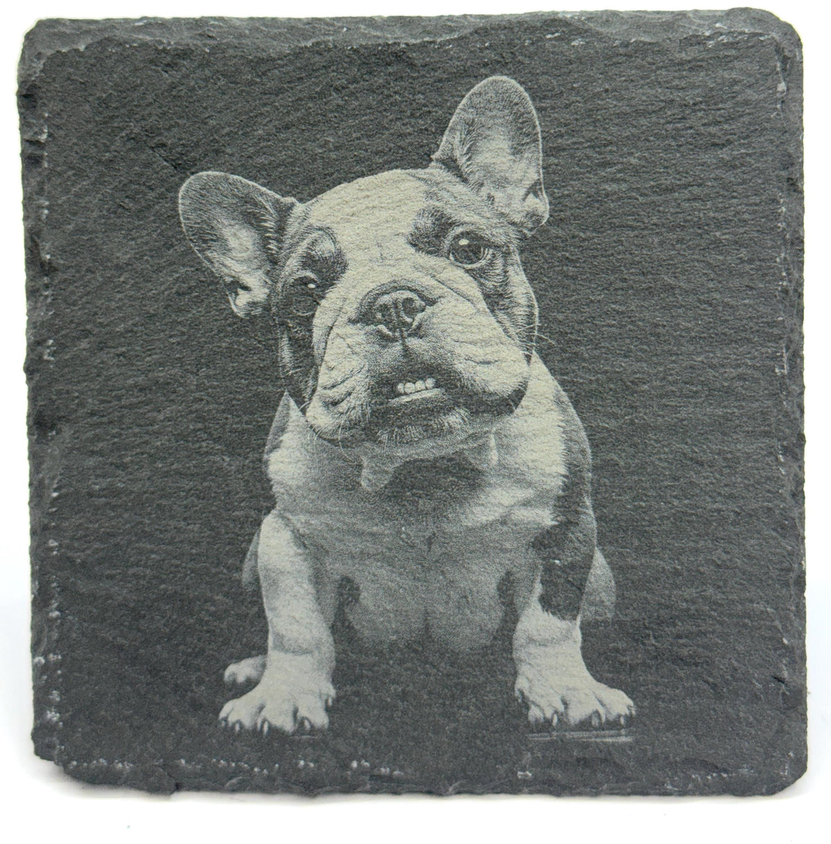 English Bulldog Laser Engraved Slate Coaster Set of 4