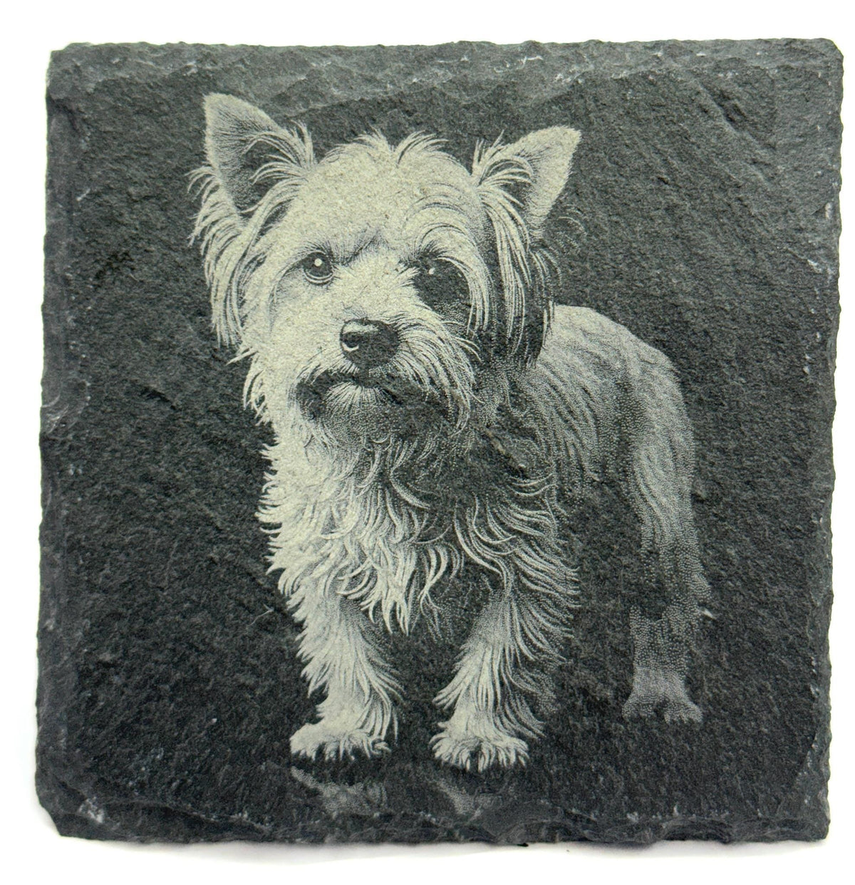 Yorkshire Terrier Engraved Slate Coaster Set of 4