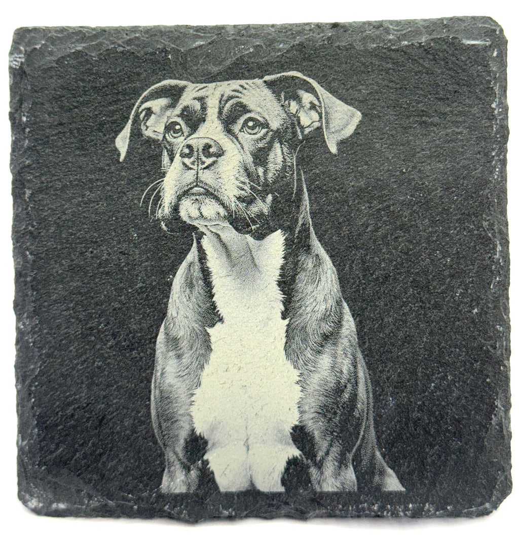 Boxer set of 4 Slate Laser Engraved Drink Coasters