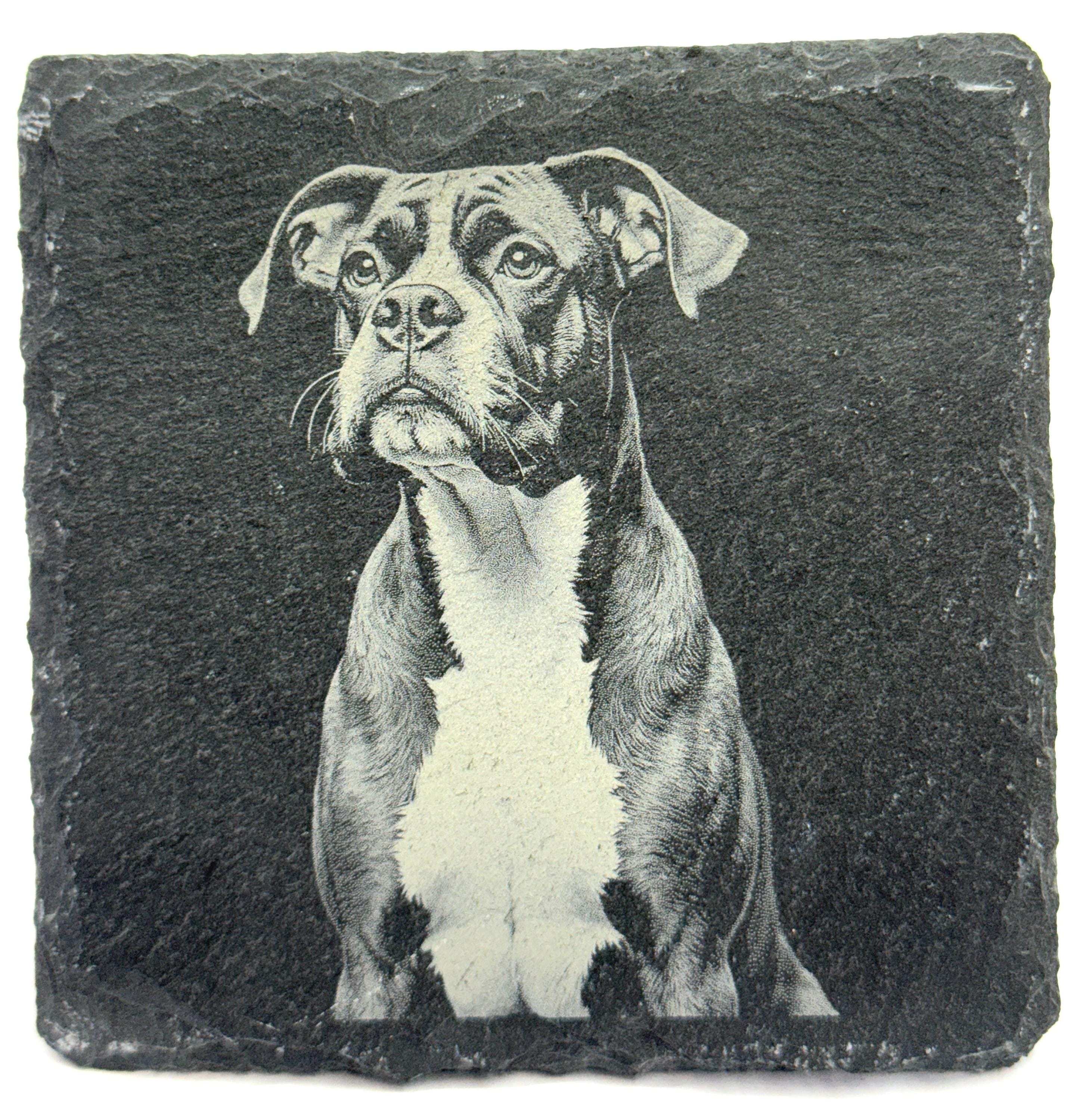 Boxer set of 4 Slate Laser Engraved Drink Coasters