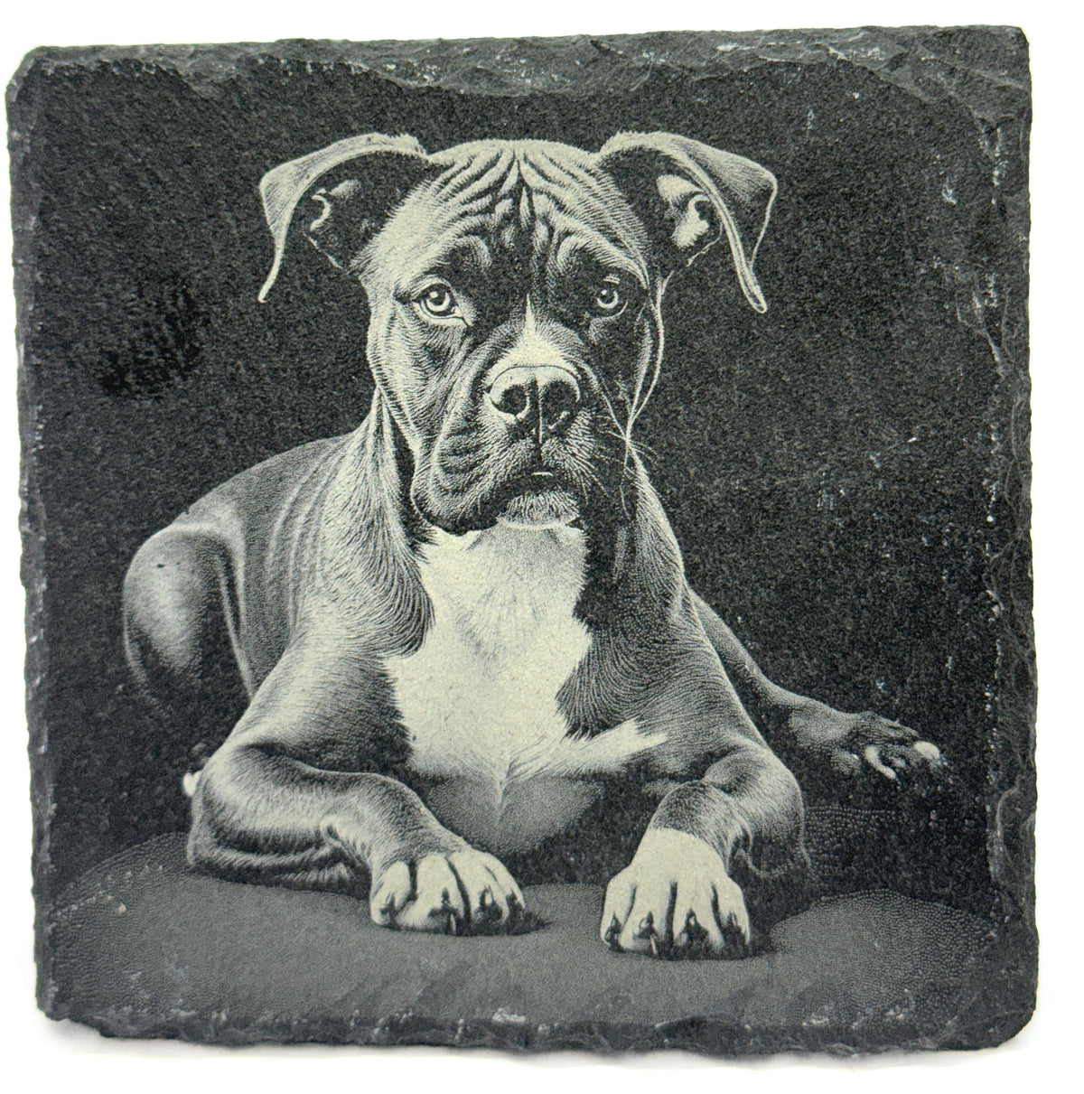 Boxer set of 4 Slate Laser Engraved Drink Coasters