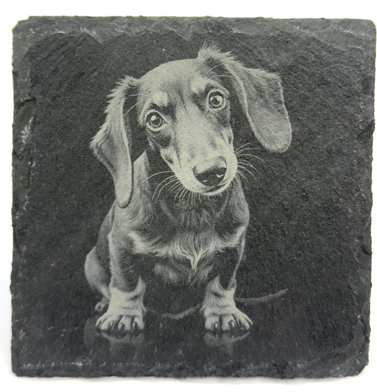 Dachshund Laser Engraved Slate Coaster Set of 4