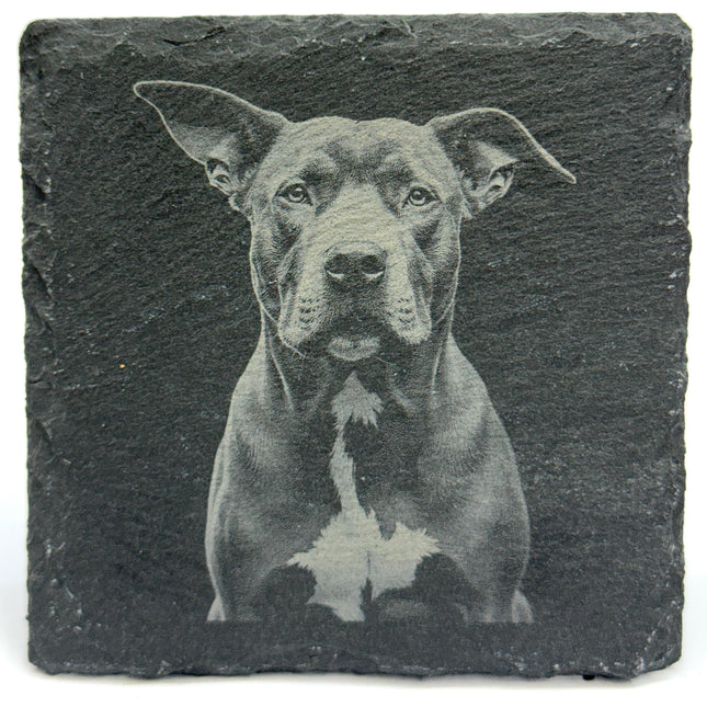 Pit Bull Laser Engraved Slate Coaster Set of 4