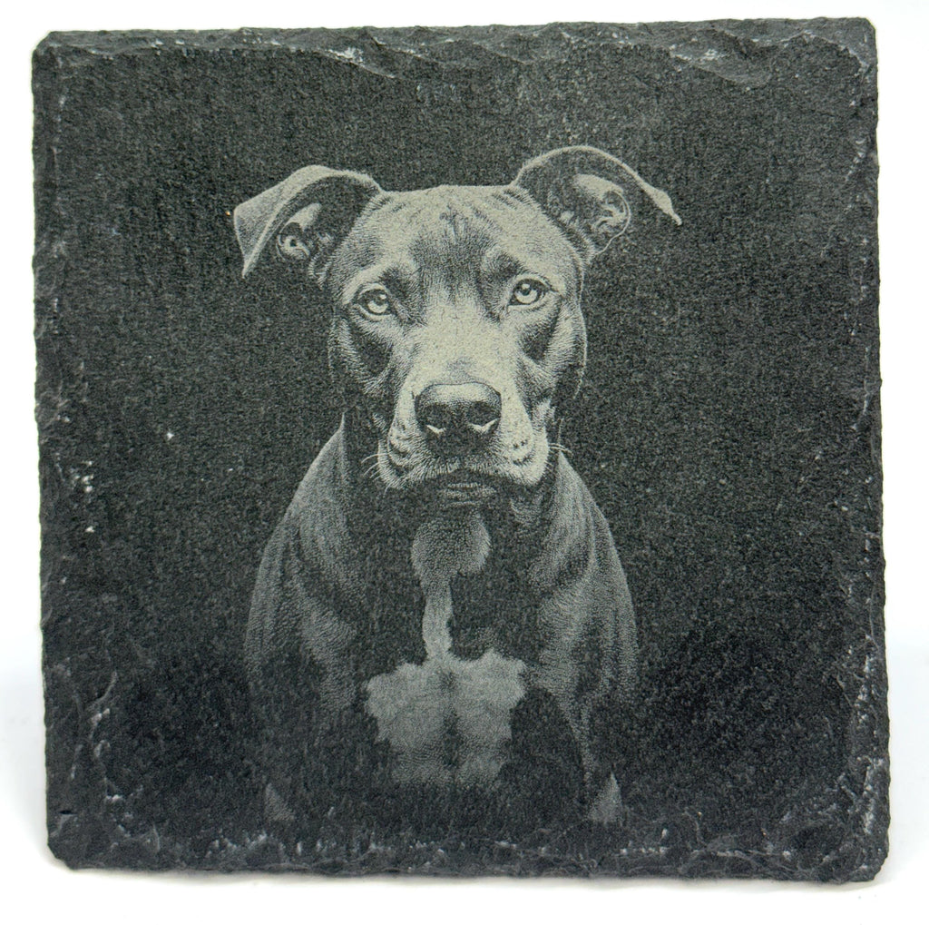 Pit Bull Laser Engraved Slate Coaster Set of 4