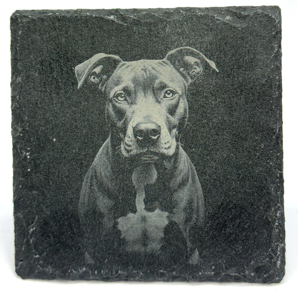 Pit Bull Laser Engraved Slate Coaster Set of 4