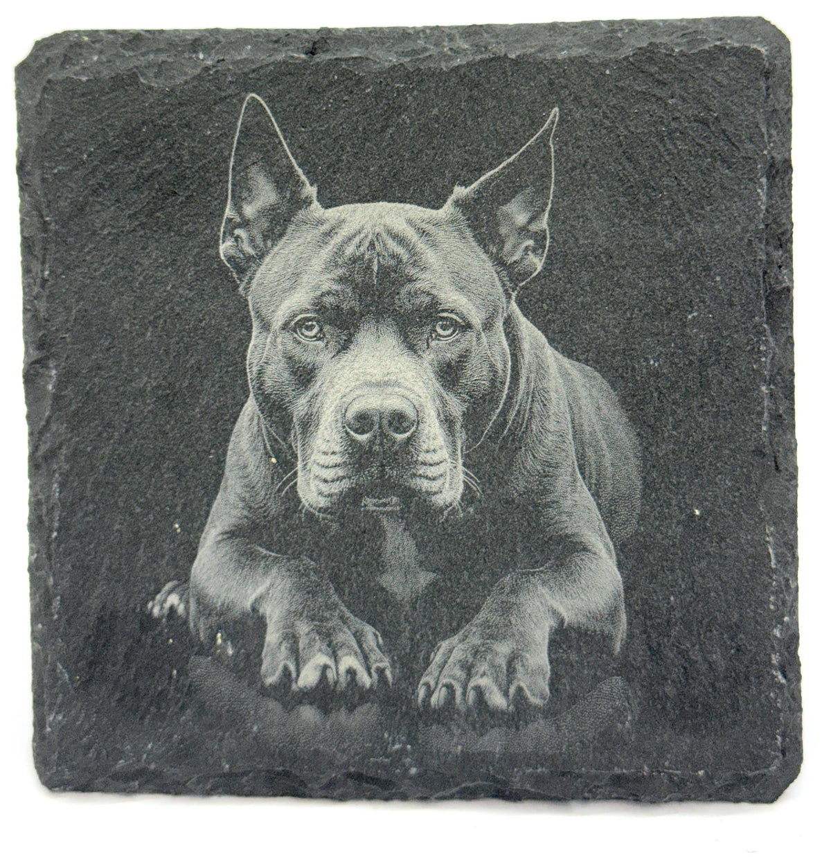 Pit Bull Laser Engraved Slate Coaster Set of 4