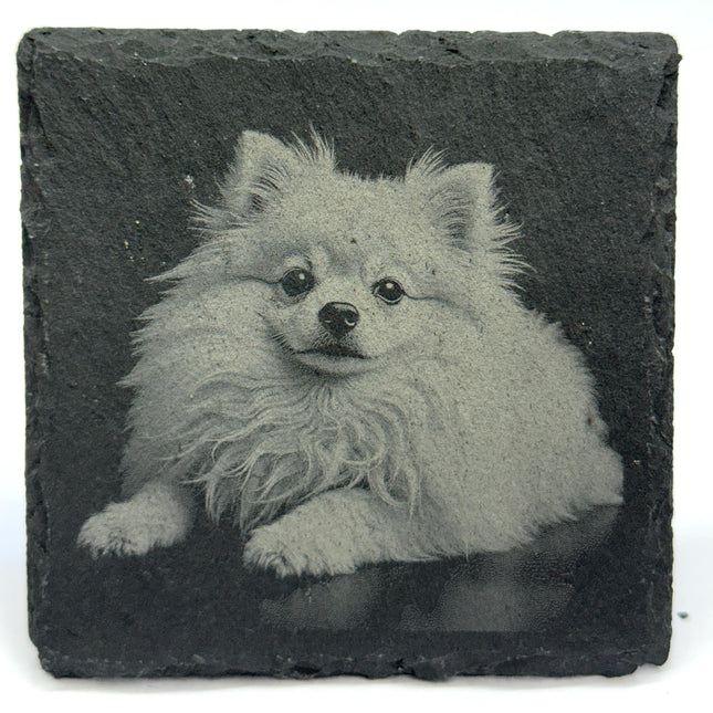 Pomeranian Laser Engraved Slate Coaster Set of 4